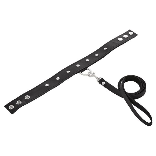 Leather Collar & Leash Set - Image 3
