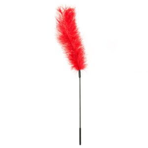 Ostrich Feather Tickler (Red)