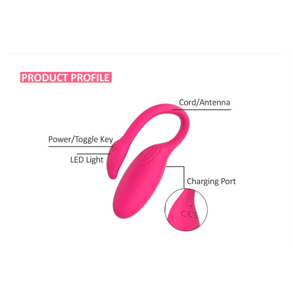 Magic Flamingo - Image 2