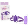 Venus Butterfly Purple Venus Butterfly 2 Purple