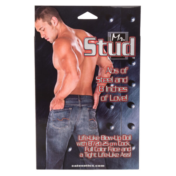Mr. Stud Ivory - Image 2