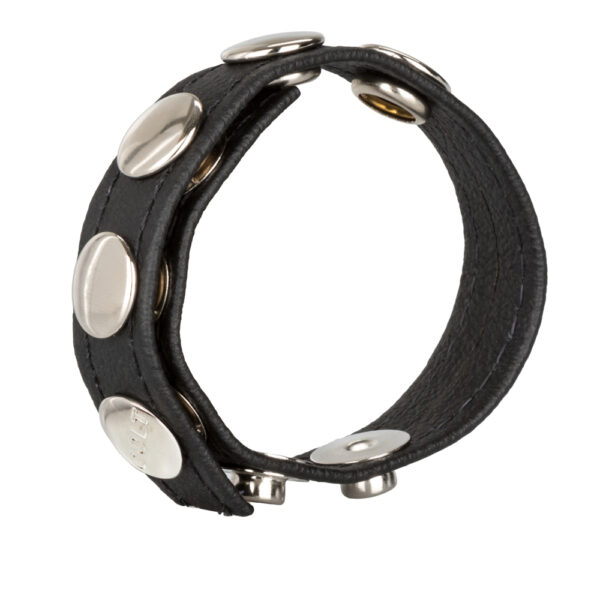 Colt Leather C/B Strap 5-Snap Fastener Black - Image 2