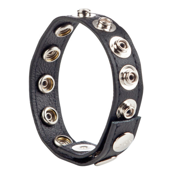 Colt Leather C/B Strap 8 Snap Fastener Black - Image 2
