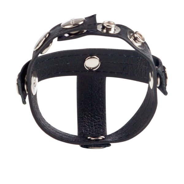 Colt Leather C/B Strap H-Piece Divider Black - Image 3