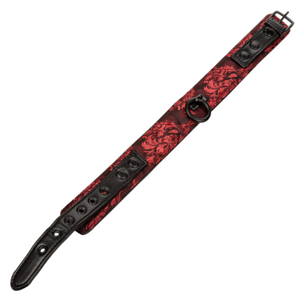 Scandal Collar With Leash Red - Image 3