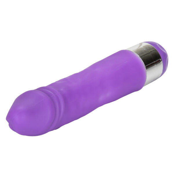 Shane's World Silicone Buddy Purple - Image 3