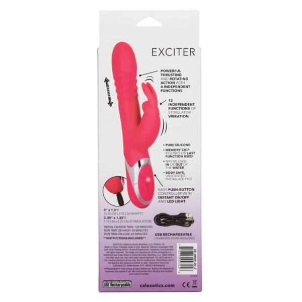 Enchanted Exciter - Image 2