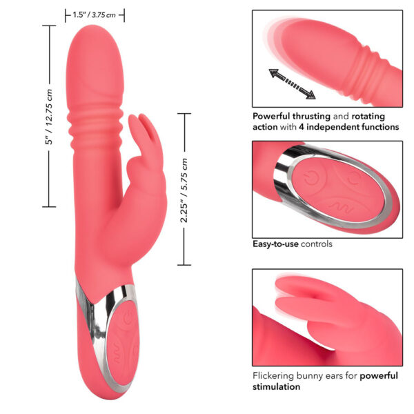 Enchanted Exciter - Image 3