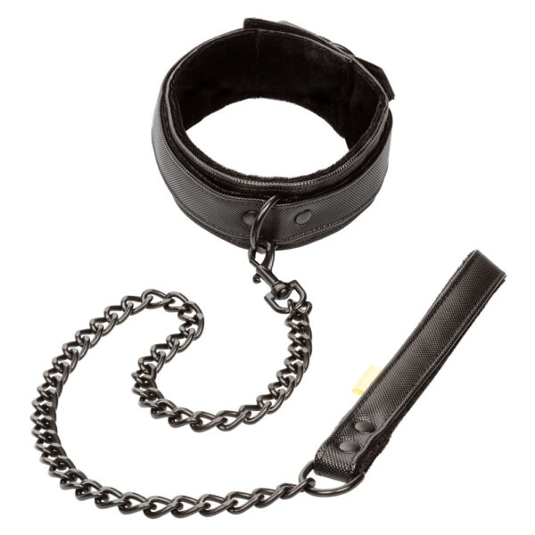 Boundless Collar & Leash - Image 2