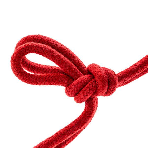 Temptasia Bondage Rope 32Ft Red - Image 3