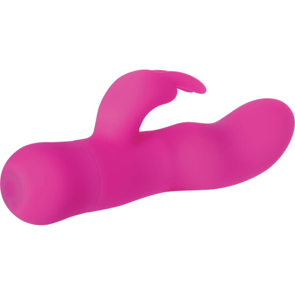 Sugar Bunny - Image 3