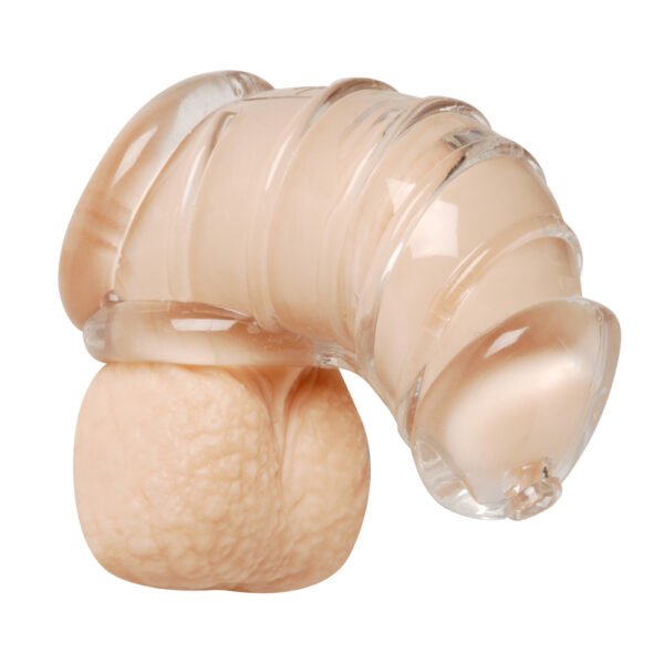 Master Series Detained Soft Body Chastity Cage - Image 3