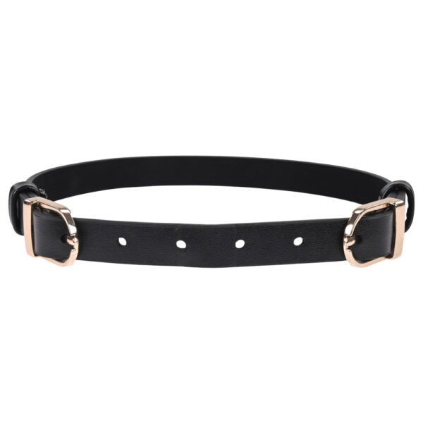 S&M Double Buckle Day Collar - Image 2
