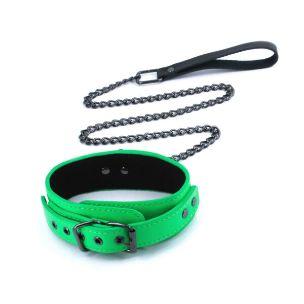 Electra Collar & Leash Green - Image 2