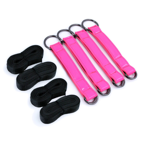 Electra Tie Down Straps Pink - Image 2