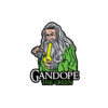 Gadope The Green Pin - Image 2