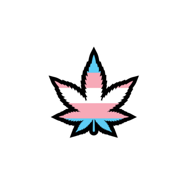 Weed Leaf Trans Pride Pin - Image 2
