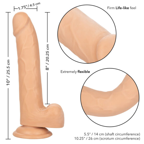 Size Queen 8" Ivory - Image 3