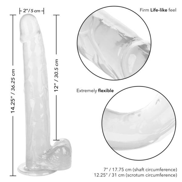 Size Queen 12" Clear - Image 3