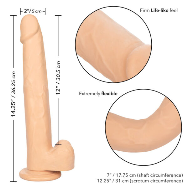 Size Queen 12" Ivory - Image 3