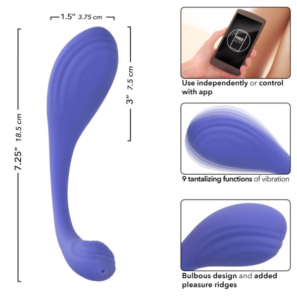 CalExotics Connect Kegel Exerciser - Image 3