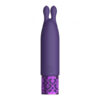 Royal Gems Twinkle Rechargeable Silicone Bullet Purple - Image 3