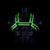 Ouch! Buckle Bulldog Harness Glow In The Dark S/M - Image 2