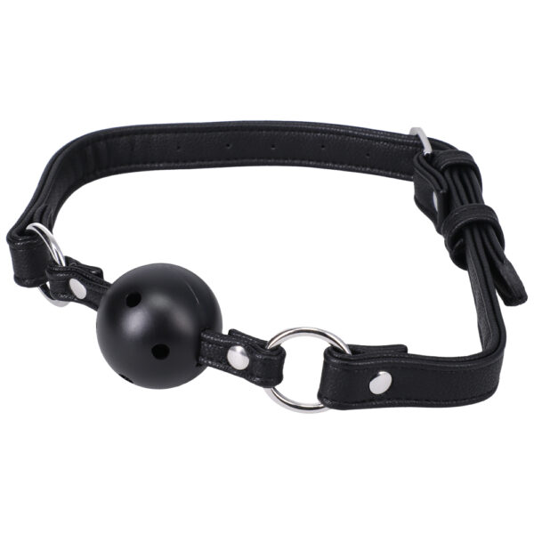 Ball Gag In A Bag Black