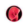 Princess Passion Heat Coral - Image 3