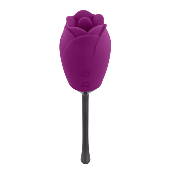 Petal - Image 2