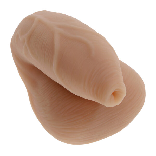 The Uncircumcised  Packer Medium - Image 3