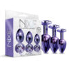 Nixie Metal Butt Plug Trainer Set Purple Metallic