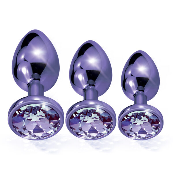 Nixie Metal Butt Plug Trainer Set Purple Metallic - Image 2