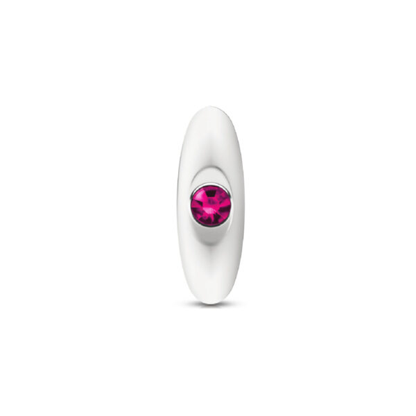 Cheeky Charms Metal Butt Plug Silver Anchor Kit Clear Iridescent/Bright Pink - Image 3