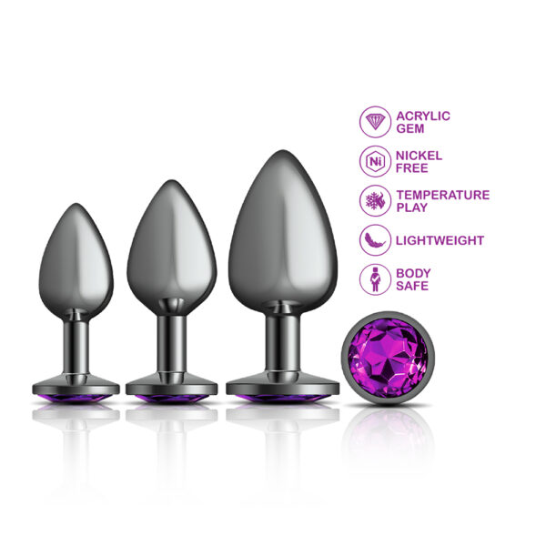 Cheeky Charms Anal Trainer Kit Gunmetal Deep Purple - Image 2