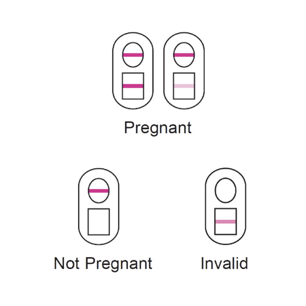 Versea Easy Lab Pregnancy Test - 2 Test Pack 3 Versea Easy Lab Pregnancy Test - 2 Test Pack - Image 3