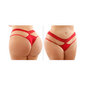 Ren Lace And Microfiber Panty Queen Size