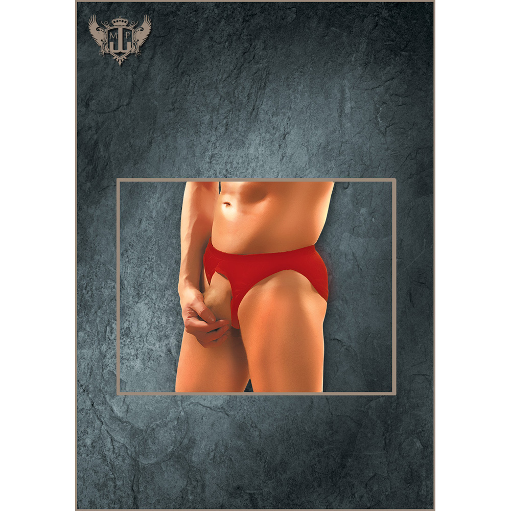 Nylon Spandex Pouchless Brief Red One Size 1 Nylon Spandex Pouchless Brief Red One Size