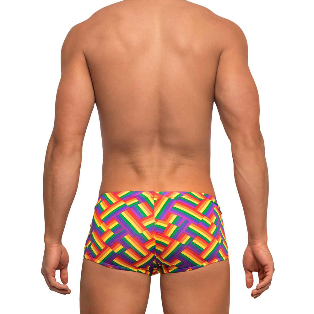 Pride Fest Mini Short Print M 2 Pride Fest Mini Short Print M - Image 2