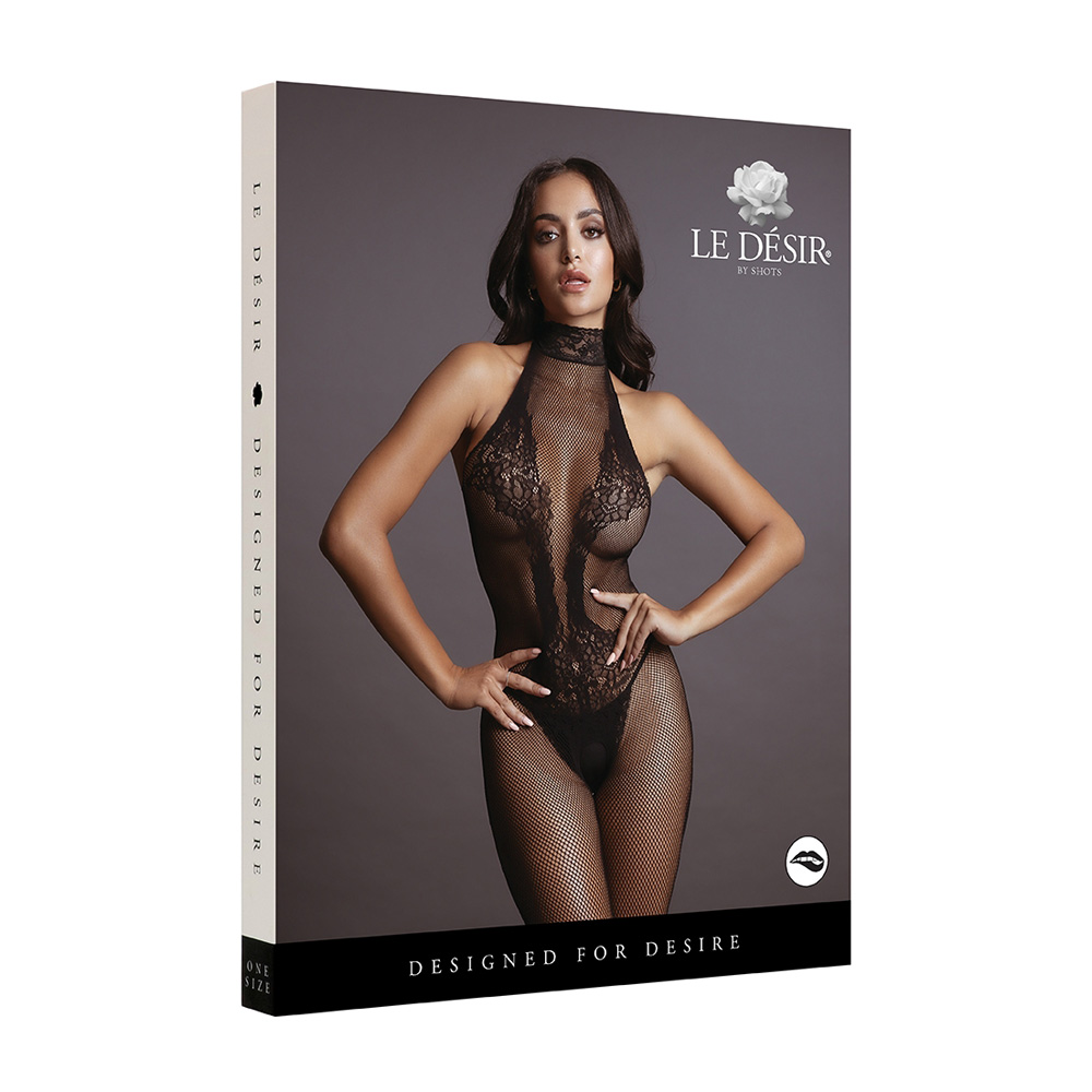 Le Desir Fishnet And Lace Bodystocking 1 Le Desir Fishnet And Lace Bodystocking
