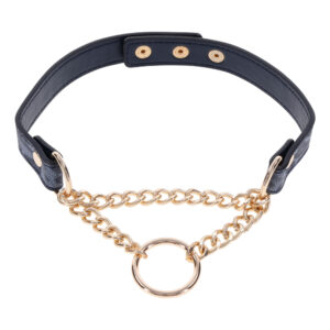 Cougar Day Collar