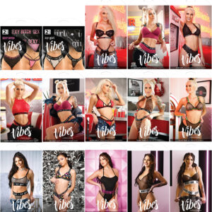 Fantasy Lingerie Grab Bag L/XL 20 Pieces